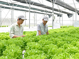 Dịch vụ kế toán thuế & đại lý thuế tại Bình Dương | Toàn Tâm Việt