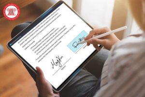 Dịch vụ kế toán thuế & đại lý thuế tại Bình Dương | Toàn Tâm Việt