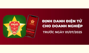 DOANH NGHIỆP CẦN ĐỊNH DANH ĐIỆN TỬ TỪ NGÀY 01/7/2025